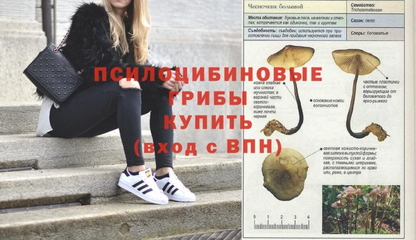 ALPHA PVP Медногорск