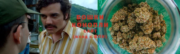 стафф Мегион