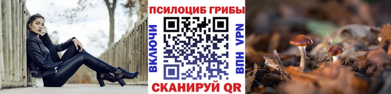 Купить где  Мензелинск  Псилоцибиновые грибы мухоморы 